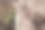 新娘手腕上戴着现代金手镯、结婚戒指和纸牌戒指，手持优雅的现代秋季婚礼花束图片下载