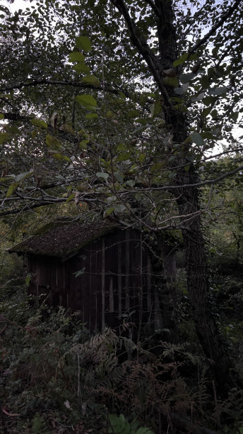 废弃木屋图片下载