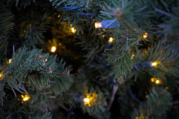 圣诞树上的彩灯，黄色的仙女灯在黑暗的背景图案中特写图片下载