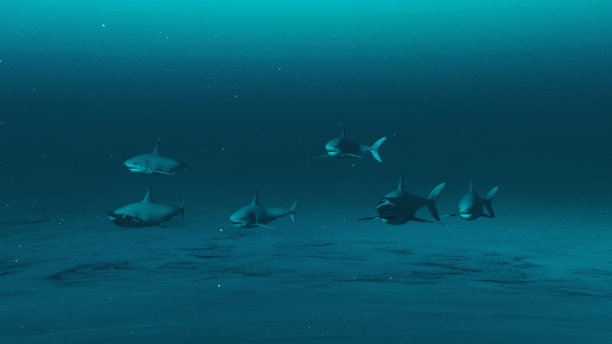 大白鲨的水下场景。三维渲染图片下载