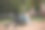 浅聚焦的一个成年金发女子在一个轮胎秋千在波斯尼亚和黑塞哥维那的一个操场图片下载