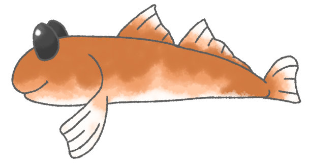 水彩造型变形可爱的虾虎鱼图片下载