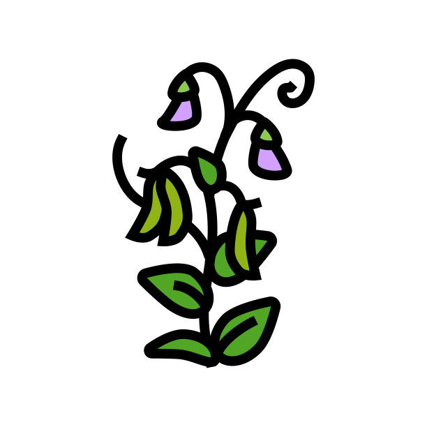 豌豆植物健康彩色图标矢量插图图片下载