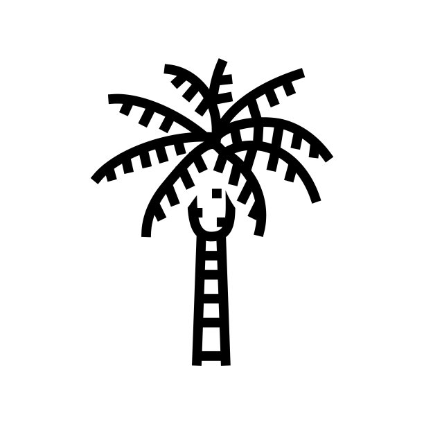 女王棕榈树线图标矢量插图图片下载