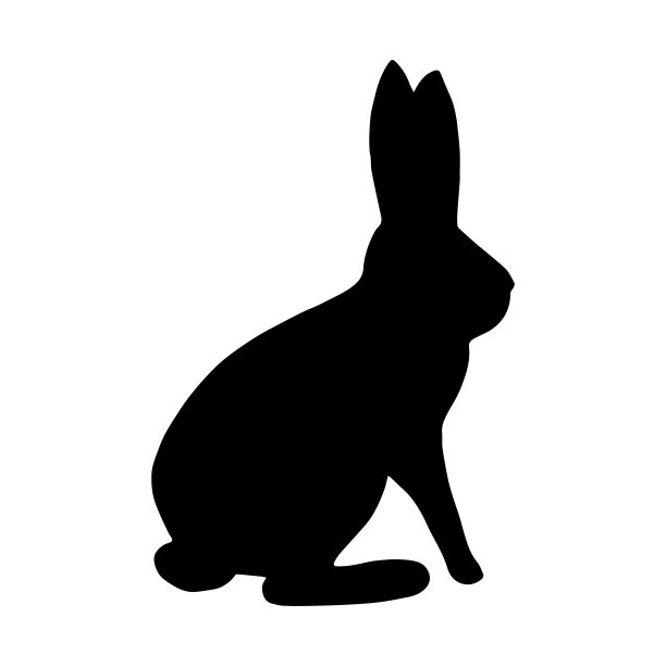 白色背景下的黑色兔子可爱的中国新年。手绘可爱的诺埃尔孤立在白色背景。矢量图图片下载