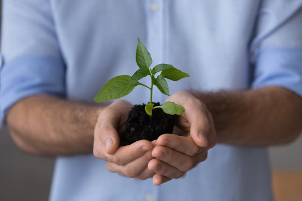 近距离关注男性手中的植物。图片下载