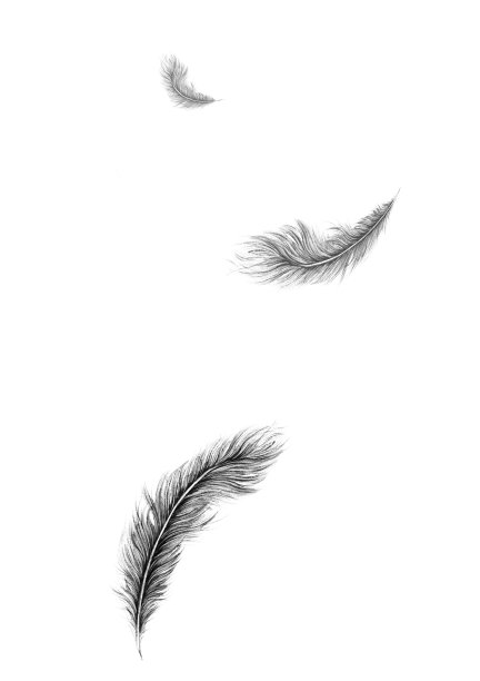 抽象羽毛，水彩羽毛黑白，黑白抽象艺术图片下载