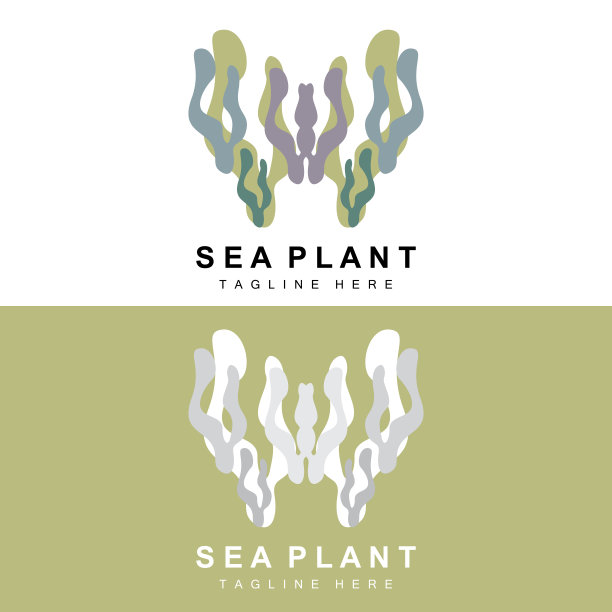 海藻标志，海洋植物矢量设计，食品杂货和自然保护图片下载