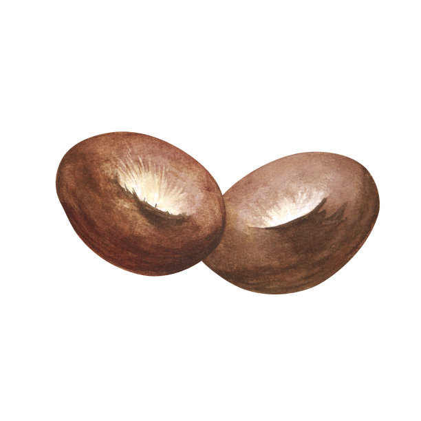 水彩面包和卷制品。白色背景的手工作品。面包馒头。光栅。图片下载