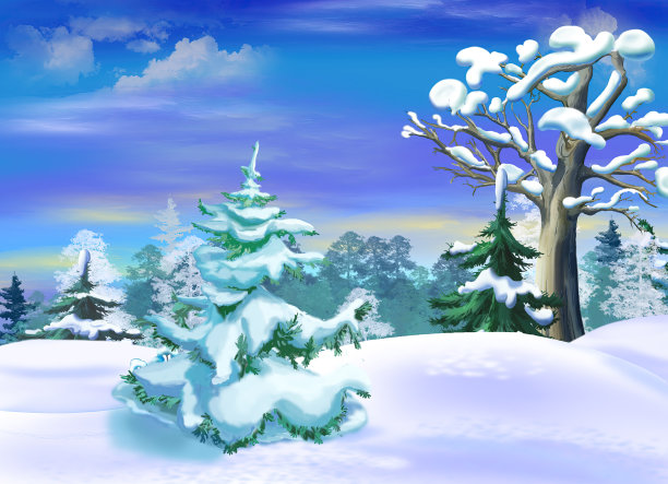 冬季森林空地上被雪覆盖的云杉图片下载
