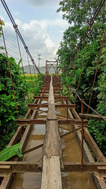 灌溉桥梁的水路到稻田和社区种植园图片下载