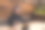 坐在咖啡馆里拿着信用卡并使用平板电脑的漂亮年轻女人图片下载
