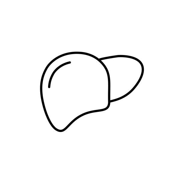 肝脏图标在时髦的扁平风格孤立的白色背景。符号为您的网站设计，标志，应用程序，用户界面。矢量插图，EPS 10图片下载