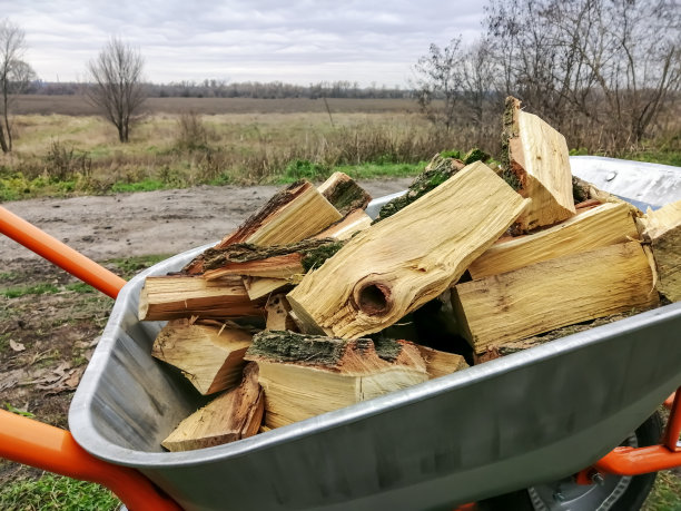 带柴火的花园手推车。在田野的背景下，用手推车砍的木头。装载劈柴。家里生火用的柴火放在手推车里。图片下载