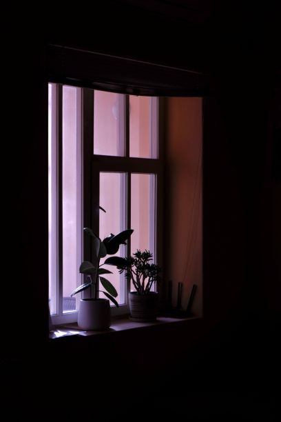 窗台上盆栽的垂直镜头图片下载