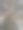带球果的松树树干和树枝的垂直低角度照片。图片下载