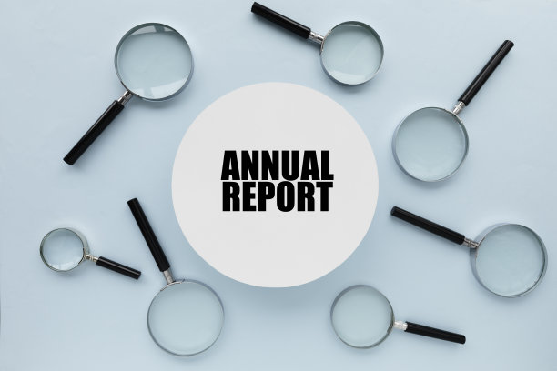 年度报告图片下载