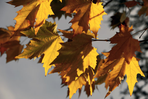 伊科·克鲁兹别墅，科尔多瓦，阿根廷图片下载