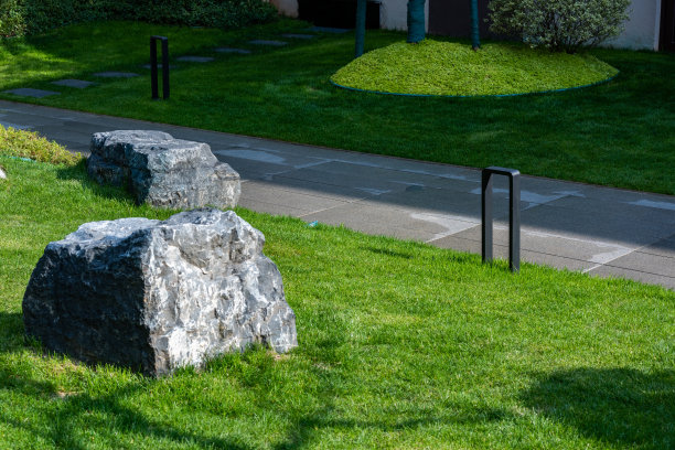 现代住宅园林景观，山石、绿植图片下载