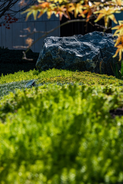 现代住宅园林景观以石材铺地小路、绿色草坪为主图片下载