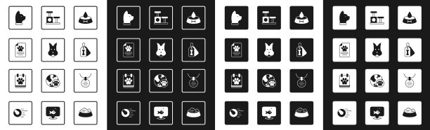 设置宠物食物碗为猫或狗狗医疗图片下载