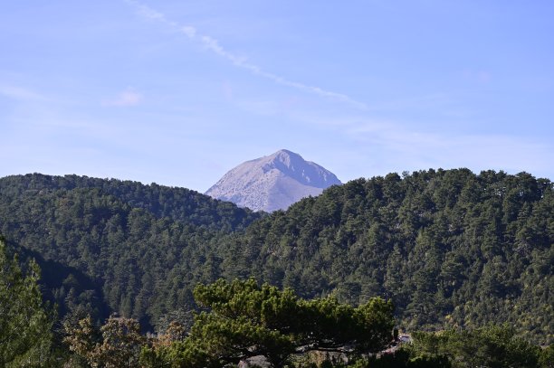 树木繁茂的小山后面是荒山。图片下载