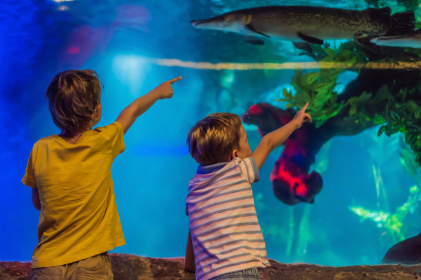 两个小男孩在水族馆欣赏风景图片下载
