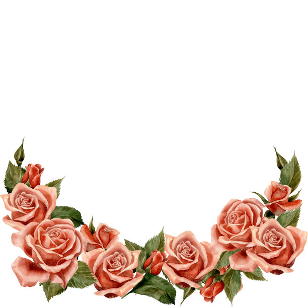 玫瑰。帧水彩。剪贴画插图。专为花卉工作室，节日装饰，婚礼，包装，纺织品，网页设计，网站，贴纸，请柬，模板，标志。手绘图片下载