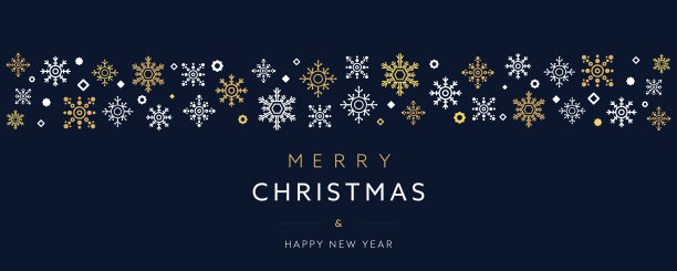 用各种雪花装饰的圣诞节日横幅广告模板(蓝色)图片下载