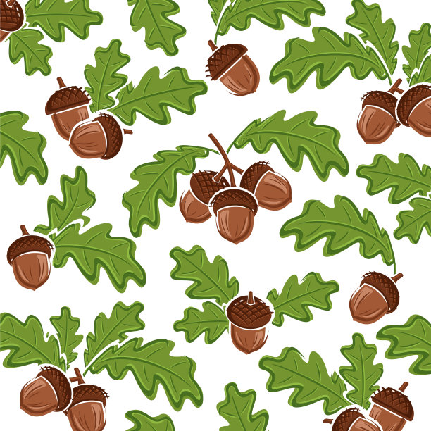 橡子图案背景设置。集合图标橡子。向量图片下载