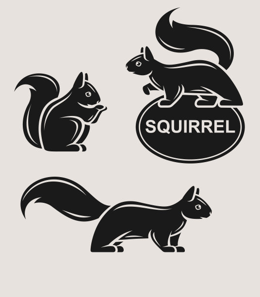 松鼠。收集松鼠图标。向量图片下载