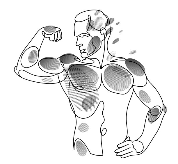 运动的男子躯干矢量线性插图，男性美与完美的肌肉适合身体的姿势，艺术绘画的健身模型。图片下载