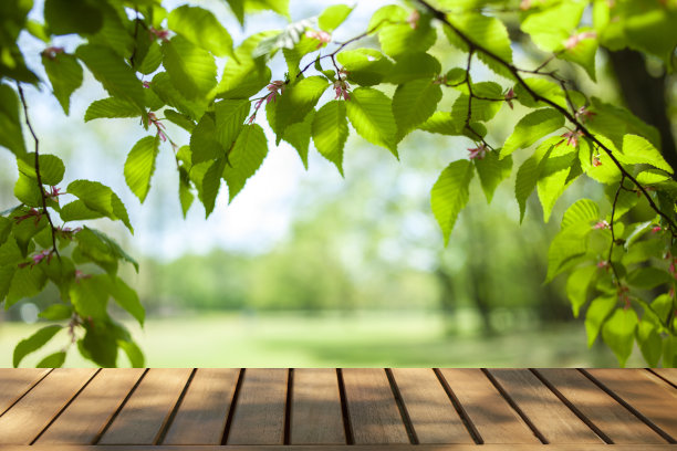 木桌子与公园bokeh背景图片下载