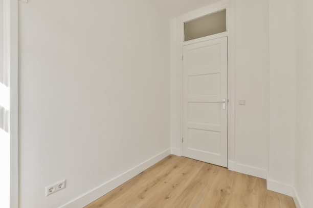 一个有白色门和木地板的房间图片下载