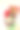 Looking down on a shopping cart full of wrapped gifts – Concept online shopping图片下载
