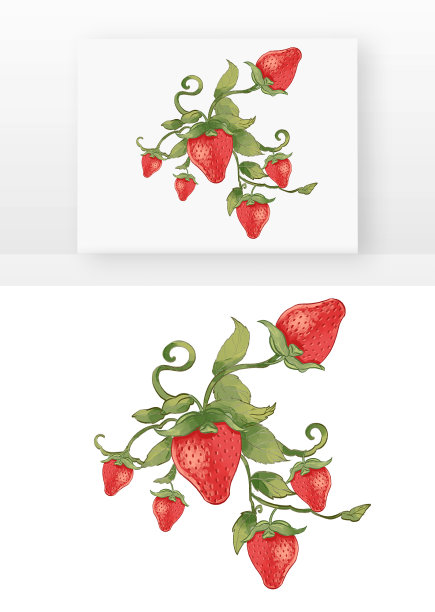 写实草莓和藤水果草莓果实绿叶生长的草莓图片下载