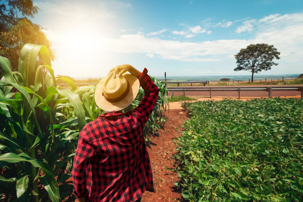 日落收获时戴着帽子的男农夫。图片下载