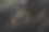 打字机上的结婚戒指图片下载