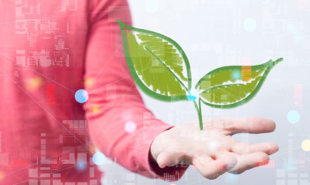 一个漂浮在人手中的植物的3D渲染-环境概念图片下载