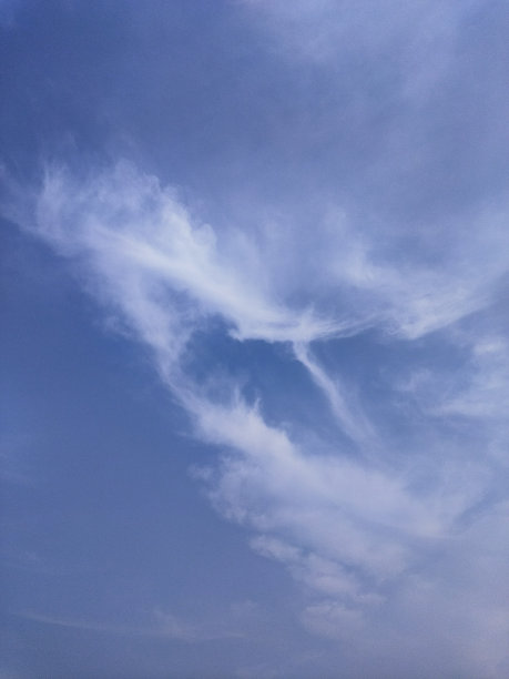 有创意的云在清晨的天空中漂浮图片下载