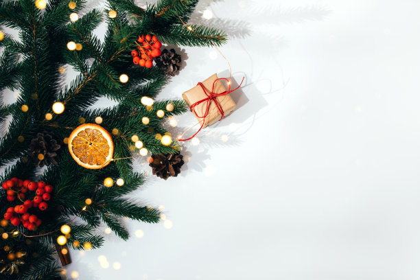 圣诞节的背景。新年的装饰在一个白色的背景与绿色杉树的树枝，松果和切片干橘子和礼物图片下载
