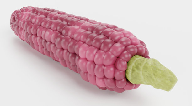 玉米的逼真3D渲染图片下载