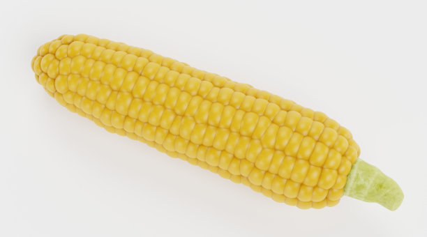 玉米的逼真3D渲染图片下载