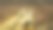 特写大黄色鬣蜥或蜥蜴图片下载