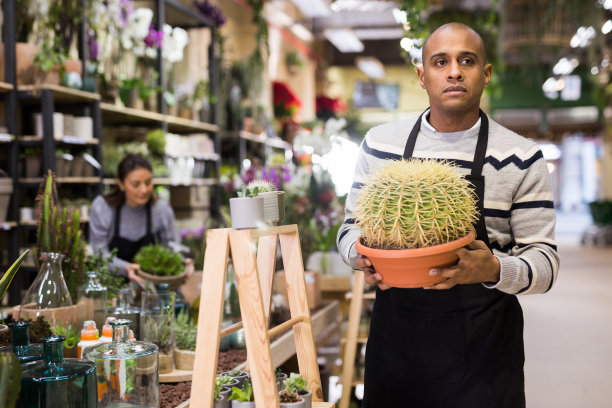 花店里，男卖主手里拿着仙人掌花盆图片下载