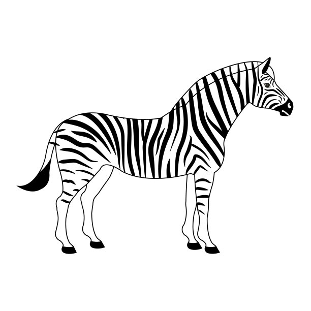 矢量扁斑马图片下载