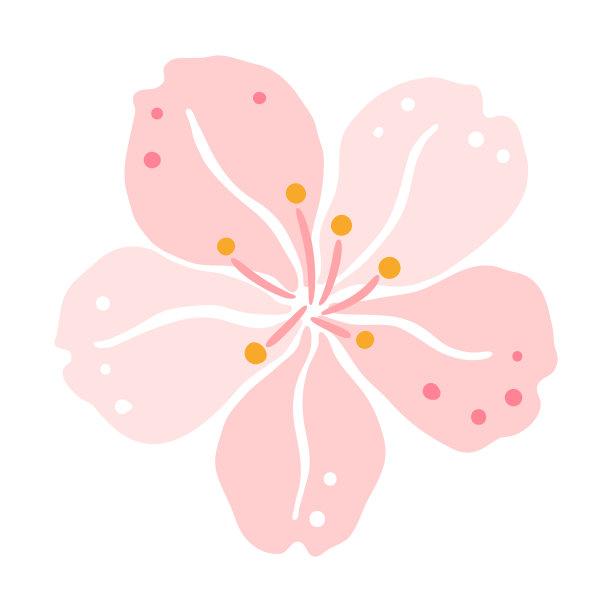 樱花插图。美丽的装饰植物。图片下载