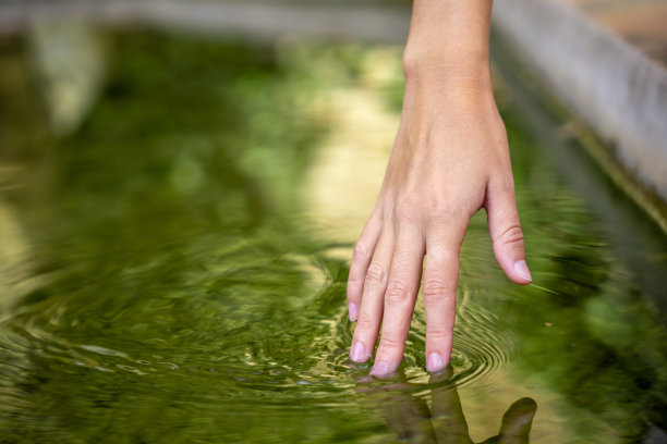 水面上一只手的倒影图片下载