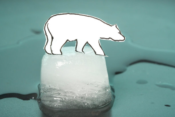 一只可爱的小北极熊站在一块纸画的冰上。图片下载