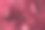 抽象油画在画布上的纹理，背景。2023年PANTONE 18-1750新趋势品红色万岁图片下载